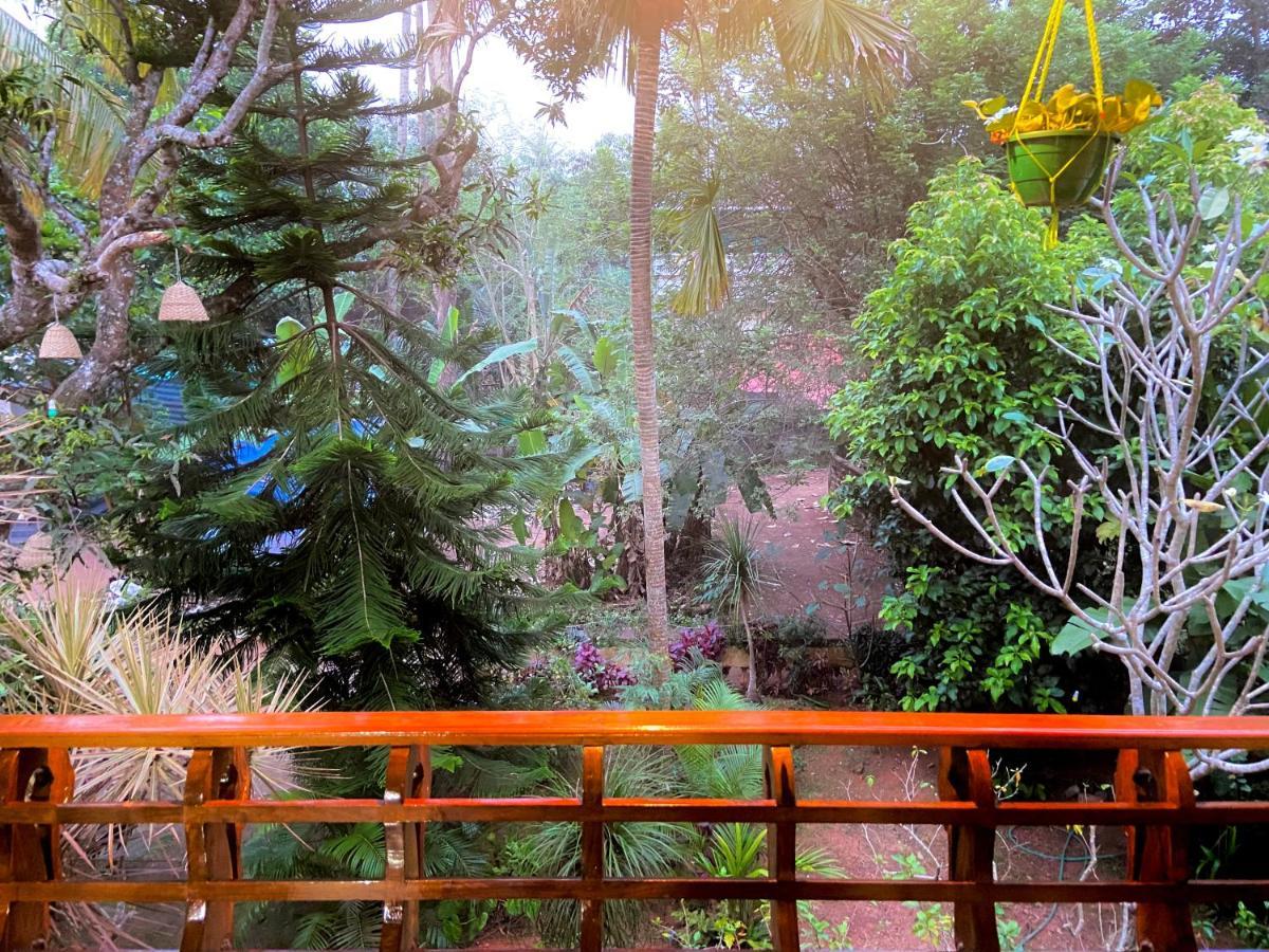 Mango Villa Варкала Экстерьер фото